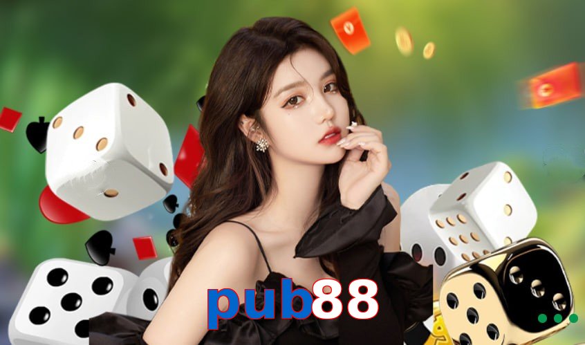 pub88